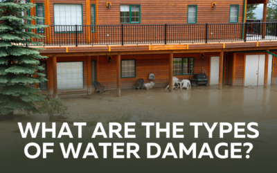 What are the types of water damage?