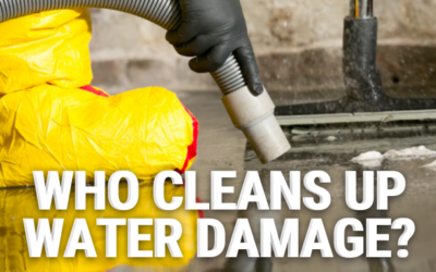 Who Cleans Up Water Damage?